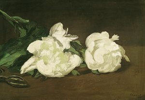 Beyaz Peonies ve Secateurs Şubesi, 1864